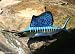 Taxidermy Quality Fiberglass 14 " Sailfish Wall Mount