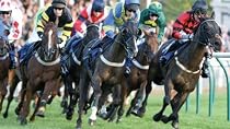 Day at the Races - Experience Gift for Two
