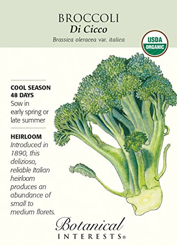 Broccoli Di Cicco Certified Organic Seed Broccoli Di Cicco Certified Organic Seed