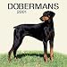 Doberman Pinschers 2001 Calendar