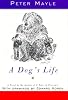 A Dog's Life