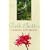 The Garden Notebook