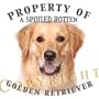 Golden Retriever Mousepad Dog Mouse Pad "Property Of"