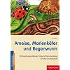 Ameise, Marienk�fer und Regenwurm