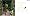Yard & Garden Basics (Better Homes and Gardens(R): Step-By-Step Series)