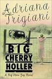 Big Cherry Holler: A Big Stone Gap Novel (Wheeler Compass)