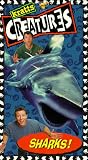 Kratts Creatures: Sharks