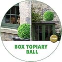 Topiary Ball Buxus Box Wood 38cm (Artificial)