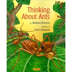 Thinking About Ants