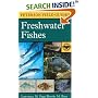A Field Guide to Freshwater Fishes : North America North of Mexico (Peterson Field Guides)