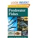 A Field Guide to Freshwater Fishes : North America North of Mexico (Peterson Field Guides)