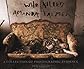 Who Killed Amanda Palmer: A Collection of Photographic Evidence