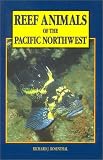Reef Animals of the Pacific Northwest