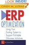 ERP Optimization: Using Your Existing System to Support Profitable E-Business Initiatives