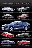 Ford Mustang (Evolution) Art Poster Print - 24 X 36