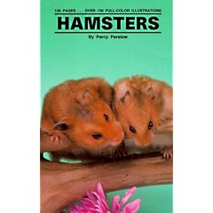 Hamsters