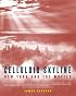 Celluloid Skyline: New York and the Movies