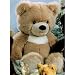 Plüti 927-100-348 - Bär, sand - 100 cm