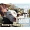 See Hurricane Katrina Through Animal Eyes