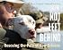 Not Left Behind: Rescuing the Pets of New Orleans