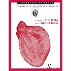 Illustrated Notebook to accompany Principles of Anatomy and Physiology, 11th Edition by  Gerard J. Tortora and Bryan H. Derrickson
