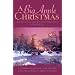 A Big Apple Christmas: Moonlight and Mistletoe/Shopping for Love/Where the Love Light Gleams/Gifts from the Magi (Inspirational Christmas Romance Collection)