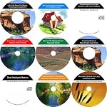 The Radical Nine Hour No Down Payment, Motivated Seller, Real Estate Mentoring System book cover