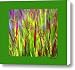 Purple Grass with Green Border Canvas Print / Canvas Art - Artist Suzanne Coleman