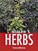 Books : Success with Herbs (Success With...) (Success With...)