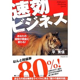 速効ビジネス―あなたの経験が現金に変わる!