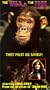 Wild and the Free [VHS]