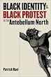 Black Identity and Black Protest in the Antebellum North