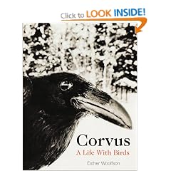 Corvus: A Life with Birds