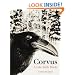 Corvus: A Life with Birds