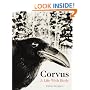 Corvus: A Life with Birds