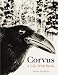Books : Corvus: A Life with Birds