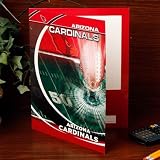 Arizona Cardinals NFL Portfolio