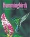 Hummingbirds: A Beginner's Guide