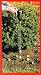 Outdoor Living : Jisco Bulb Planter - JB-24 - Plant 500 Bulbs per Hour!