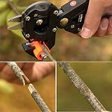 [Free Shipping] Garden Fruit Tree Pro Pruning Shears Scissor Grafting Cutting Tools Suit // Jardín de árboles frutales tijeras de podar pro tijera injerto corte traje de herramientas