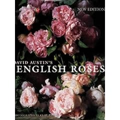 English Roses C