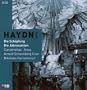 Haydn: Creation / Seasons / Canzonettas