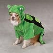 Zack & Zoey Turtle Costume for Dogs