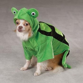 Zack & Zoey Turtle Costume for Dogs