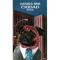Ciudad / City