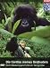 Die Gorillas meines Großvaters