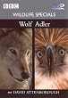 Wildlife Specials 01 - Wolf / Adler