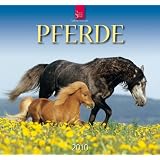 Pferde 2010von "Sabine Stuewer"