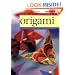 Absolute Beginner's Origami
