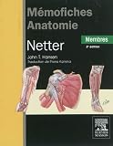 MémoFiches anatomie Netter Membres